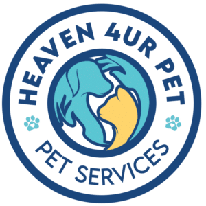 diagnosis and treatment - Heaven 4ur Pet: Top Rated Pet Care Services!