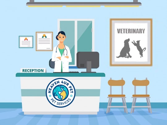 Our animal care center offers emergency veterinary services specifically dog care center