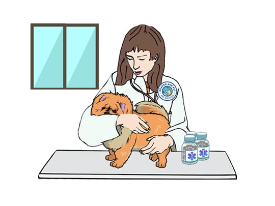 Our veterinary clinic offers Pet diagnosis